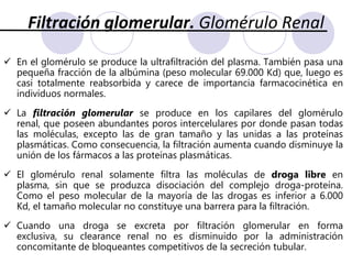 El hígado es el órgano más importante de biotransformación de fármacos. La mayor parte de los fármacos que se eliminan por biotransformación, son metabolizados en este órgano. El riñón es un órgano importante para la biotransformación de drogas peptídicas (interferones, gonadotrofinas, insulina, etc.), para la activación metabólica de la vitamina D y en la inactivación o activación metabólicas de fármacos. La mucosa intestinal, el pulmón, la piel, las bacterias intestinales, las neuronas, son otros sitios importantes para la biotransformación de ciertas drogas.Biotransformación de drogasGeneralmente, las reacciones de biotransformación generan metabolitos inactivos mas polares, que son fácilmente excretables del organismo. Sin embargo, en ocasiones se generan metabolitos con una actividad biológica mas potente o con propiedades toxicas.