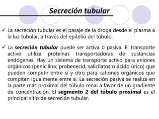 Los metabolitos son más polares, más hidrosolubles y menos liposolubles que la droga original, facilitando la eliminación de estos metabolitos del cuerpo. Frecuentemente, los metabolitos son inactivos o mucho menos activos que la droga original.