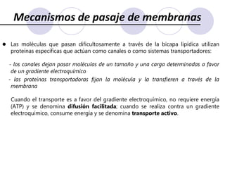 Mecanismos de pasaje de membranasLas moléculas que pasan dificultosamente a través de la bicapa lipídica utilizan proteínas específicas que actúan como canales o como sistemas transportadores: - los canales dejan pasar moléculas de un tamaño y una carga determinadas a favor de un gradiente electroquímico    - las proteínas transportadoras fijan la molécula y la transfieren a través de la membranaCuando el transporte es a favor del gradiente electroquímico, no requiere energía (ATP) y se denomina difusión facilitada; cuando se realiza contra un gradiente electroquímico, consume energía y se denomina transporte activo.