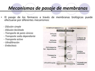 Mecanismos de pasaje de membranasEl pasaje de los fármacos a través de membranas biológicas puede efectuarse por diferentes mecanismos: - Difusión simple    - Difusión facilitada    - Transporte de pares iónicos    - Transporte sodio dependiente    - Transporte activo    - Ultrafiltración     - Endocitosis