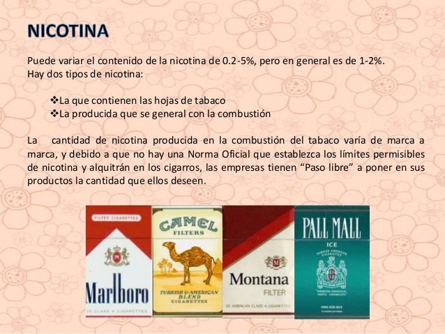 Gel para el dieta del metabolismo 13 dias