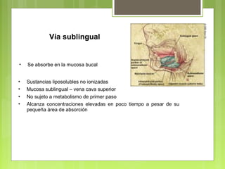 Vía sublingual
• Se absorbe en la mucosa bucal
• Sustancias liposolubles no ionizadas
• Mucosa sublingual – vena cava superior
• No sujeto a metabolismo de primer paso
• Alcanza concentraciones elevadas en poco tiempo a pesar de su
pequeña área de absorción
 