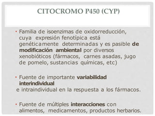 CITOCROMO P450 (CYP)
• Familia de isoenzimas de oxidorreducción,
cuya expresión fenotípica está
genéticamente determinadas y es pasible de
modificación ambiental por diversos
xenobióticos (fármacos, carnes asadas, jugo
de pomelo, sustancias químicas, etc)
• Fuente de importante variabilidad
interindividual
e intraindividual en la respuesta a los fármacos.
• Fuente de múltiples interacciones con
alimentos, medicamentos, productos herbarios.
 