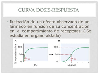 CURVA DOSIS-RESPUESTA
• Ilustración de un efecto observado de un
fármaco en función de su concentración
en el compartimiento de receptores. ( Se
estudia en órgano aislado)
 