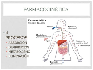 FARMACOCINÉTICA
• 4
PROCESOS
• ABSORCIÓN
• DISTRIBUCIÓN
• METABOLISMO
• ELIMINACIÓN
 