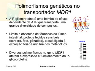 Polimorfismos genéticos no transportador  MDR1 A P-glicoproteína é uma bomba de efluxo dependente de ATP que transporta uma grande diversidade de compostos. Limita a absorção de fármacos do lúmen intestinal, protege tecidos sensíveis (cérebro, feto, gônadas), e está ligada à excreção biliar e urinária dos metabólitos. Diversos polimorfismos no gene  MDR1  afetam a expressão e funcionamento da P-glicoproteína. 24 Março 2009 Farmacocinética 