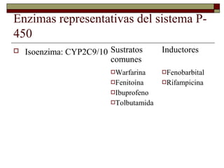 Enzimas representativas del sistema P-
450
   Isoenzima: CYP2C9/10 Sustratos      Inductores
                         comunes
                         Warfarina     Fenobarbital
                         Fenitoína     Rifampicina
                         Ibuprofeno
                         Tolbutamida
 
