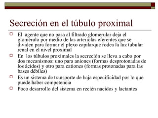 Secreción en el túbulo proximal
   El agente que no pasa al filtrado glomerular deja el
    glomérulo por medio de las arteriolas eferentes que se
    dividen para formar el plexo capilarque rodea la luz tubular
    renal en el nivel proximal
   En los túbulos proximales la secreción se lleva a cabo por
    dos mecanismos: uno para aniones (formas desprotonadas de
    los ácidos) y otro para cationes (formas protonadas para las
    bases débiles)
   Es un sistema de transporte de baja especificidad por lo que
    puede haber competencia
   Poco desarrollo del sistema en recién nacidos y lactantes
 