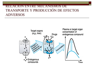 RELACIÓN ENTRE MECANISMOS DE
TRANSPORTE Y PRODUCCIÓN DE EFECTOS
ADVERSOS
 
