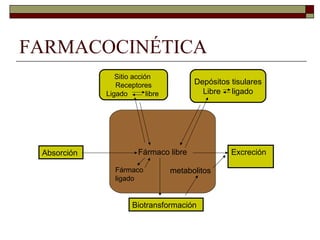 FARMACOCINÉTICA
                Sitio acción
                Receptores               Depósitos tisulares
             Ligado        libre           Libre ligado




 Absorción              Fármaco libre              Excreción

                Fármaco            metabolitos
                ligado


                      Biotransformación
 