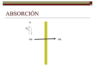 ABSORCIÓN
          A-

     H+



          HA   HA
 