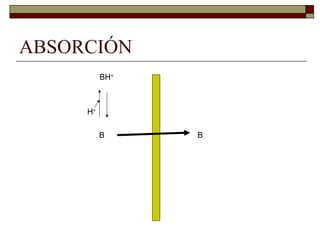 ABSORCIÓN
          BH+



     H+

          B     B
 