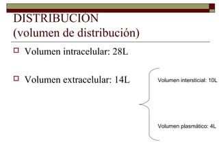 DISTRIBUCIÓN
(volumen de distribución)
   Volumen intracelular: 28L

   Volumen extracelular: 14L   Volumen intersticial: 10L




                                Volumen plasmático: 4L
 