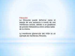 Filtración
La filtración puede definirse como el
pasaje de una sustancia a través de una
membrana celular, debido a un gradiente
de presión hidrostática entre ambos lados
de la misma.
La membrana glomerular del riñón es un
ejemplo de membrana filtrante.
 