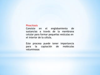 Pinocitosis
Consiste en el englobamiento de
sustancias a través de la membrana
celular para formar pequeñas vesículas en
el interior de la célula.
Este proceso puede tener importancia
para la captación de moléculas
voluminosas
 