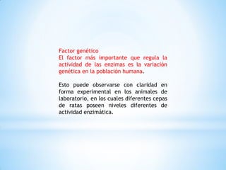 Factor genético
El factor más importante que regula la
actividad de las enzimas es la variación
genética en la población humana.
Esto puede observarse con claridad en
forma experimental en los animales de
laboratorio, en los cuales diferentes cepas
de ratas poseen niveles diferentes de
actividad enzimática.
 
