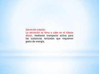 Secreción tubular
La secreción se lleva a cabo en el túbulo
distal, mediante transporte activo para
las sustancias ionizadas que requieren
gasto de energía.
 