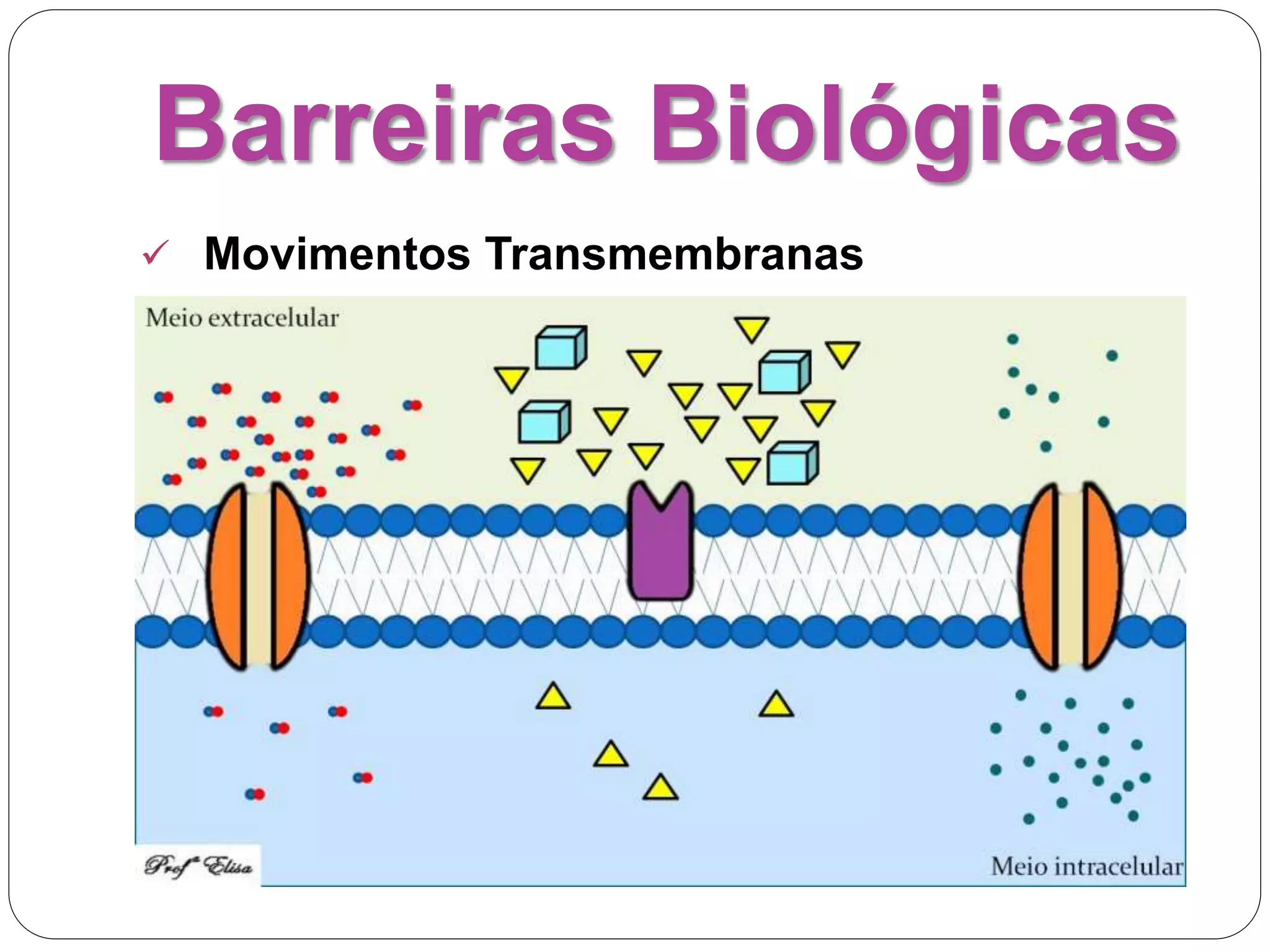 Barreiras Biológicas
 Movimentos Transmembranas
 