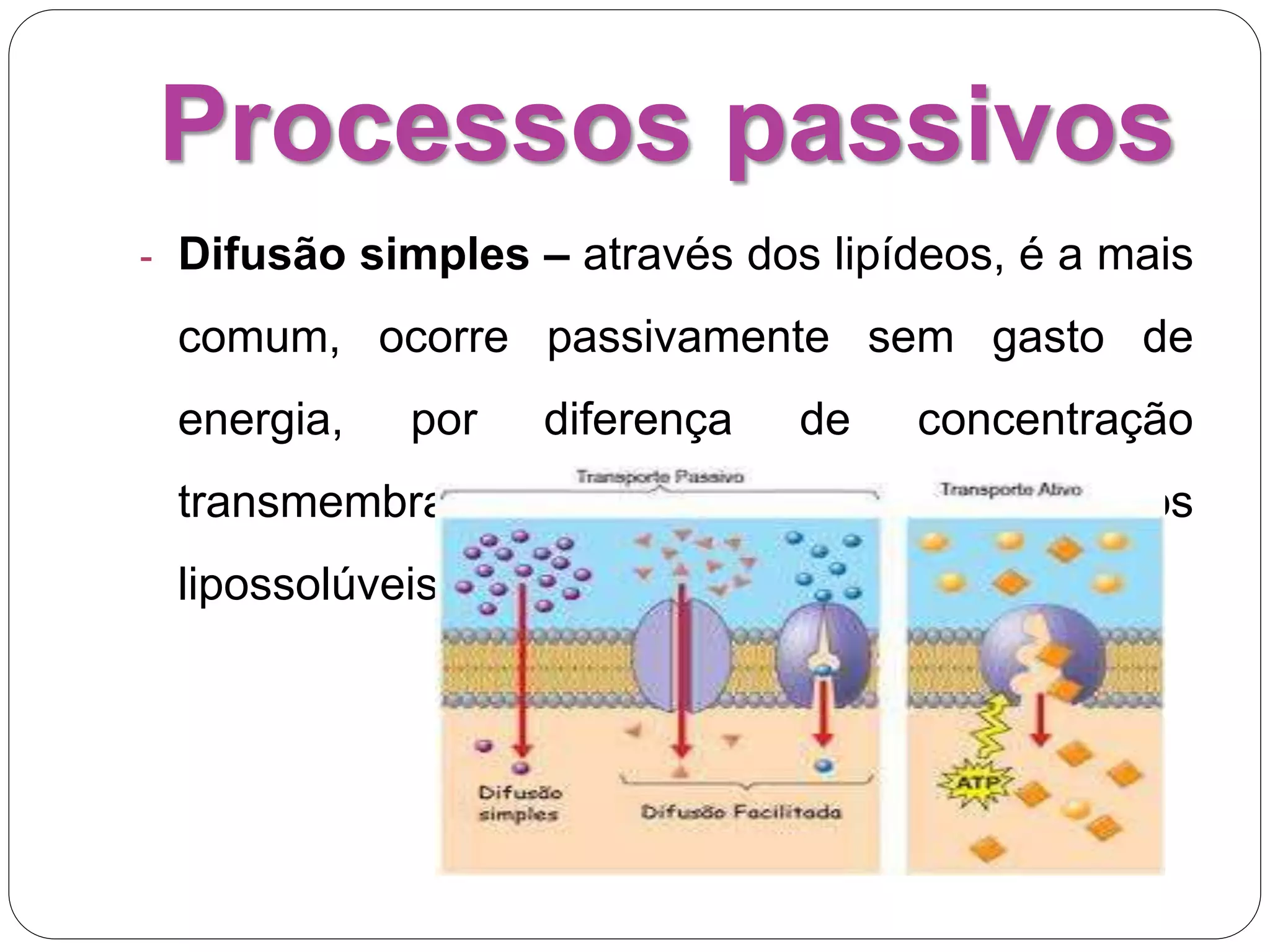Processos passivos
- Difusão simples – através dos lipídeos, é a mais
comum, ocorre passivamente sem gasto de
energia, por diferença de concentração
transmembrana. Para medicamentos
lipossolúveis.
 