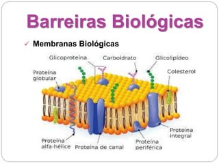 Barreiras Biológicas
 Membranas Biológicas
 