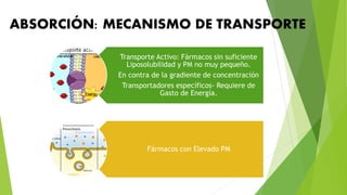 ABSORCIÓN: MECANISMO DE TRANSPORTE
Transporte Activo: Fármacos sin suficiente
Liposolubilidad y PM no muy pequeño.
En contra de la gradiente de concentración
Transportadores específicos- Requiere de
Gasto de Energía.
Fármacos con Elevado PM
 