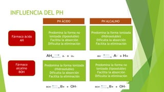 INFLUENCIA DEL PH
Fármaco ácido
AH
Fármaco
alcalino
BOH
Predomina la forma no
ionizada (liposoluble)
Facilita la absorción
Dificulta la eliminación
Predomina la forma ionizada
(Hidrosoluble)
Dificulta la absorción
Facilita la eliminación
PH ÁCIDO PH ALCALINO
Predomina la forma ionizada
(Hidrosoluble)
Dificulta la absorción
Facilita la eliminación
Predomina la forma no
ionizada (liposoluble)
Facilita la absorción
Dificulta la eliminación
 