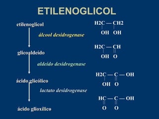 etilenoglicol glicoaldeído ácido glicólico ácido glioxílico álcool   desidrogenase aldeído   desidrogenase lactato desidrogenase ETILENOGLICOL H2C  — CH2 OH  OH  H2C  — CH OH  O  H2C  — C — OH OH  O  HC  — C — OH O  O  
