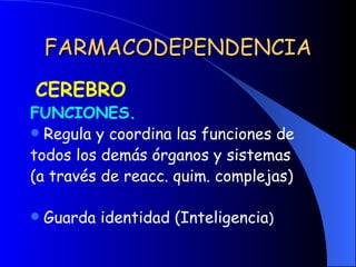 FARMACODEPENDENCIA CEREBRO FUNCIONES. Regula y coordina las funciones de  todos los demás órganos y sistemas (a través de reacc. quim. complejas) Guarda identidad (Inteligencia ) 