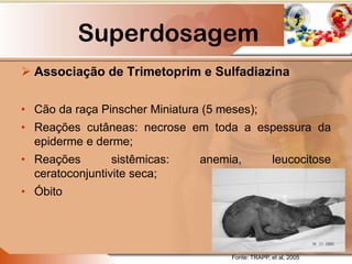  Associação de Trimetoprim e Sulfadiazina
• Cão da raça Pinscher Miniatura (5 meses);
• Reações cutâneas: necrose em toda a espessura da
epiderme e derme;
• Reações sistêmicas: anemia, leucocitose
ceratoconjuntivite seca;
• Óbito
Fonte: TRAPP, et al, 2005
Superdosagem
 