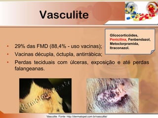 Vasculite
• 29% das FMD (88,4% - uso vacinas);
• Vacinas décupla, óctupla, antirrábica;
• Perdas teciduais com úlceras, exposição e até perdas
falangeanas.
Vasculite. Fonte: http://dermatopet.com.br/vasculite/
Glicocorticóides,
Penicilina, Fenbendazol,
Metoclorpramida,
Itraconazol.
 