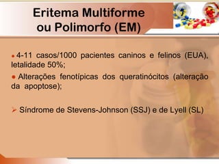 Eritema Multiforme
ou Polimorfo (EM)
● 4-11 casos/1000 pacientes caninos e felinos (EUA),
letalidade 50%;
● Alterações fenotípicas dos queratinócitos (alteração
da apoptose);
 Síndrome de Stevens-Johnson (SSJ) e de Lyell (SL)
 
