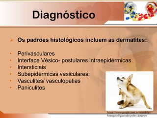 Diagnóstico
 Os padrões histológicos incluem as dermatites:
• Perivasculares
• Interface Vésico- postulares intraepidérmicas
• Intersticiais
• Subepidérmicas vesiculares;
• Vasculites/ vasculopatias
• Paniculites
https://www.google.com.br/search?q=
histopatológico+de+pele+cão&espv
 