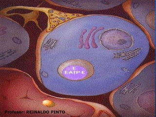 FACTORES DE CRECIMIENTO Y NEUROTRANSMISORES.