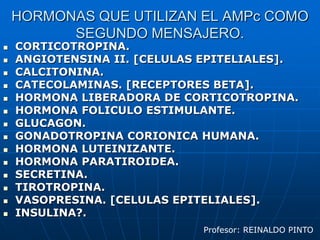 FORMACION DE SEGUNDO MENSAJEROSPRIMERO. EL LIGANDO EXTRACELULAR ES DETECTADO EN FORMA ESPECIFICA POR UN RECEPTOR DE SUPERFICIE CELULAR.SEGUNDO. ESTE A SU VEZ DESENCADENA LA ACTIVACION DE UNA PROTEINA G LOCALIZADA EN EL LADO CITOPLASMATICO DE LA MEMBRANA.TERCERO. LA PROTEINA G ACTIVADA MODIFICA LA ACCION DE UN ELEMENTO EFECTOR POR LO GENERAL UNA ENZIMA O UN CONDUCTO IONICO.CUARTA. ESTE ELEMENTO MODIFICA LA CONCENTRACION INTRACELULAR DEL SEGUNDO MENSAJERO.Profesor: REINALDO PINTO