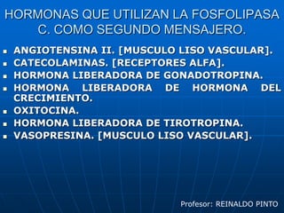 23G1Profesor: REINALDO PINTO