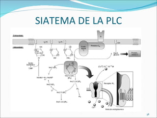SIATEMA DE LA PLC




                    38
 