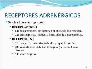 RECEPTORES ADRENÉRGICOS
 Se clasifican en 2 grupos:
    RECEPTORES α :
       α1: postsinápticos. Predominan en musculo liso vascular.
       α2: presinápticos. Inhiben la liberación de Catecolaminas.
   RECEPTORES β
       β1: cardíacos. Estimulan todas las prop del corazón.
       β2: musculo liso. Ej: M liso Bronquial y uterino, libera
        insulina.
       β3: tejido adiposo.



                                                                     43
 