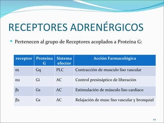 RECEPTORES ADRENÉRGICOS
 Pertenecen al grupo de Receptores acoplados a Proteína G:


  receptor Proteína Sistema             Acción Farmacológica
              G     efector
  α1       Gq       PLC       Contracción de musculo liso vascular

  α2       Gi       AC        Control presináptico de liberación

  β1       Gs       AC        Estimulación de músculo liso cardíaco

  β2       Gs       AC        Relajación de musc liso vascular y bronquial



                                                                         44
 