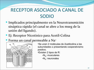 RECEPTOR ASOCIADO A CANAL DE
              SODIO
 Implicados principalmente en la Neurotransmición
  sináptica rápida (el...