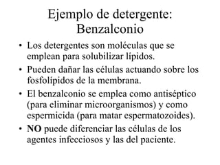 Ejemplo de detergente: Benzalconio Los detergentes son moléculas que se emplean para solubilizar lípidos. Pueden dañar las células actuando sobre los fosfolípidos de la membrana. El benzalconio se emplea como antiséptico (para eliminar microorganismos) y como espermicida (para matar espermatozoides). NO  puede diferenciar las células de los agentes infecciosos y las del paciente. 