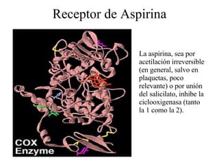 Receptor de Aspirina La aspirina, sea por acetilación irreversible (en general, salvo en plaquetas, poco relevante) o por unión del salicilato, inhibe la ciclooxigenasa (tanto la 1 como la 2). 