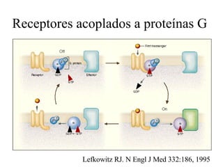 Receptores acoplados a proteínas G Lefkowitz RJ. N Engl J Med 332:186, 1995 