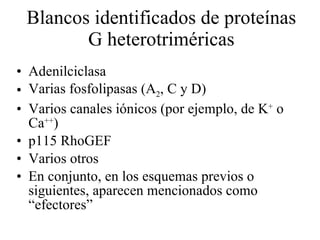 Blancos identificados de proteínas G heterotriméricas Adenilciclasa Varias fosfolipasas (A 2 , C y D) Varios canales iónicos (por ejemplo, de K +  o Ca ++ ) p115 RhoGEF  Varios otros En conjunto, en los esquemas previos o siguientes, aparecen mencionados como “efectores” 