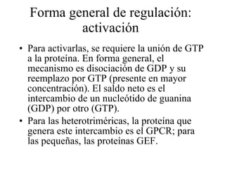 Forma general de regulación: activación Para activarlas, se requiere la unión de GTP a la proteína. En forma general, el mecanismo es disociación de GDP y su reemplazo por GTP (presente en mayor concentración). El saldo neto es el intercambio de un nucleótido de guanina (GDP) por otro (GTP). Para las heterotriméricas, la proteína que genera este intercambio es el GPCR; para las pequeñas, las proteínas GEF. 