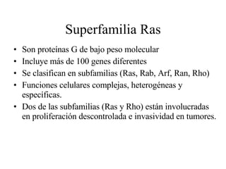 Superfamilia Ras Son proteínas G de bajo peso molecular Incluye más de 100 genes diferentes Se clasifican en subfamilias (Ras, Rab, Arf, Ran, Rho) Funciones celulares complejas, heterogéneas y específicas. Dos de las subfamilias (Ras y Rho) están involucradas en proliferación descontrolada e invasividad en tumores. 