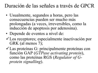 Duración de las señales a través de GPCR Usualmente, segundos a horas, pero las consecuencias pueden ser mucho más prolongadas (a veces, irreversibles, como la inducción de apoptosis por adenosina). Depende de eventos a nivel de: Los receptores; especialmente inactivación por GRK (al menos 7); Las proteínas G: principalmente proteínas con función GAP ( GTPase activating protein ), como las proteínas RGS ( Regulator of G-protein signalling ). 