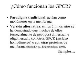 ¿Cómo funcionan los GPCR? Paradigma tradicional : actúan como monómeros en la membrana. Versión alternativa : en los últimos años se ha demostrado que muchos de ellos (especialmente de péptidos) dimerizan u oligomerizan, con otros GPCR (incluso homodímeros) o con otras proteínas de membrana  (Rashid  et al ., Endocrinology 2004) . Ejemplos.... 