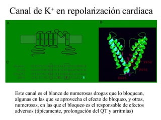 Canal de K +  en repolarización cardíaca Este canal es el blance de numerosas drogas que lo bloquean, algunas en las que se aprovecha el efecto de bloqueo, y otras, numerosas, en las que el bloqueo es el responsable de efectos adversos (típicamente, prolongación del QT y arritmias) 