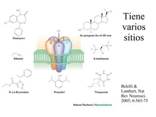 Tiene varios sitios Belelli & Lambert,  Nat Rev Neurosci. 2005;   6:565-75 