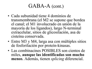 GABA-A  (cont.) Cada subunidad tiene 4 dominios de transmembrana (el M2 se supone que bordea el canal; el M1 involucrado en unión de la mayoría de los ligandos), largo N-terminal extracelular, sitios de glicosilación, asa de cisteína conservada. Entre M3 y M4, larga asa con múltiples sitios de fosforilación por proteín-kinasas. Las combinacines POSIBLES son cientos de miles,  aunque las identificadas son mucho menos . Además, tienen  splicing  diferencial. 